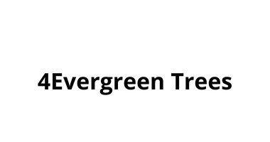 4Evergreen Trees