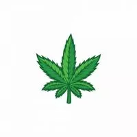4S CANNA CO. - STIGLER