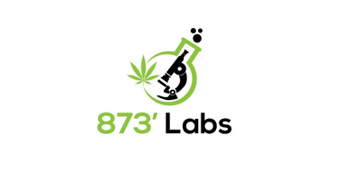 873' Labs
