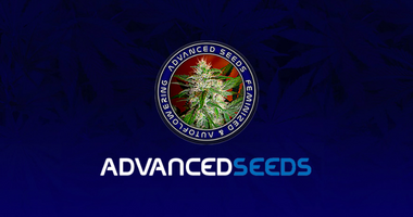 Advanced Seeds