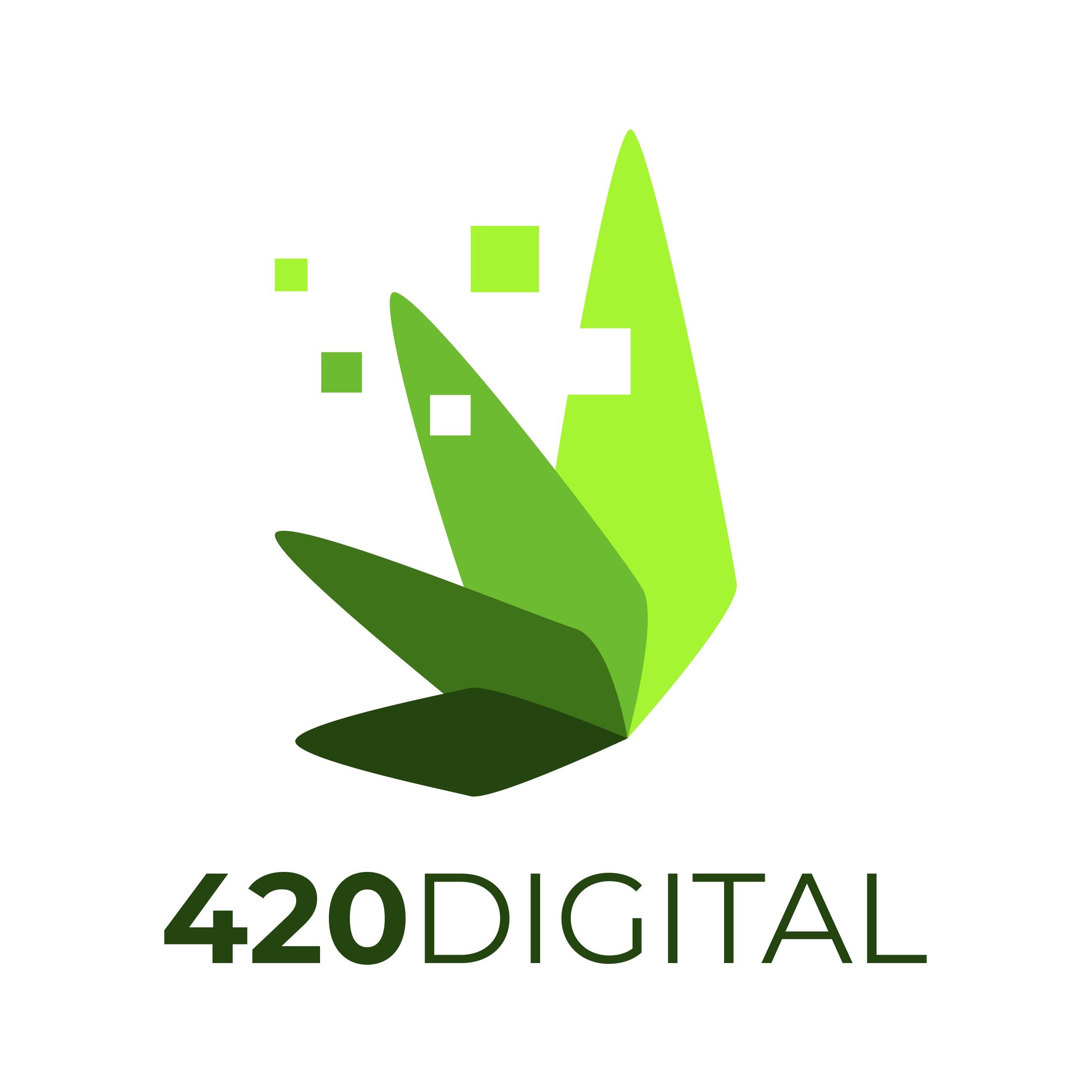 420Digital Marketing