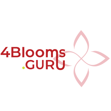 4Blooms Cannabis Marketing Services