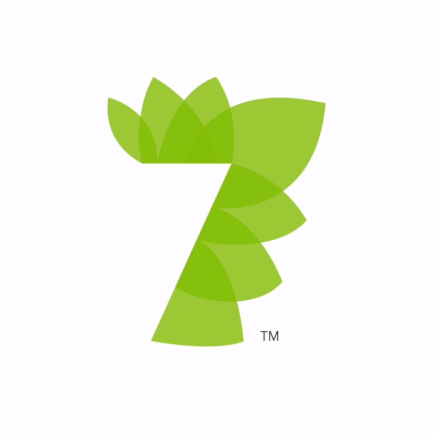 7 Rays Marketing