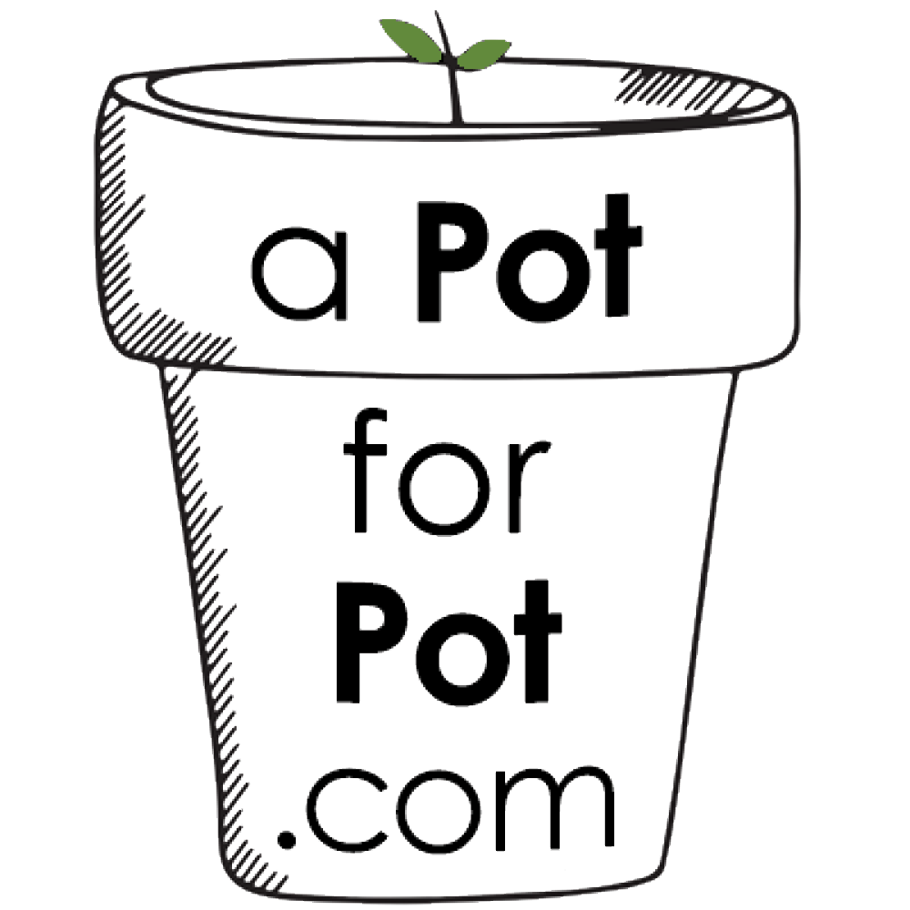 a Pot for Pot