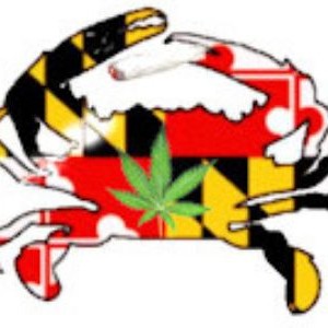 CRABS N CANNABIS