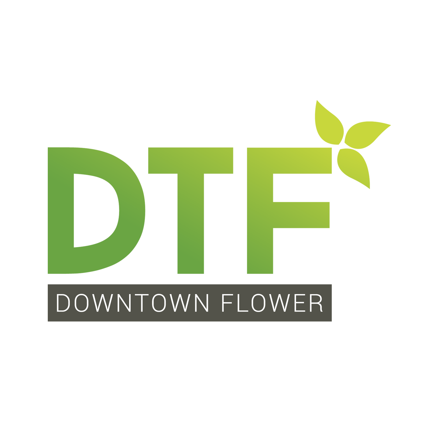 DTF - Downtown Flower