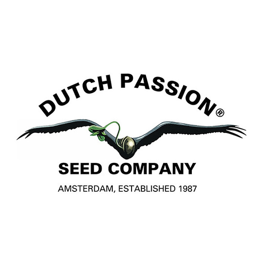 Dutch Passion
