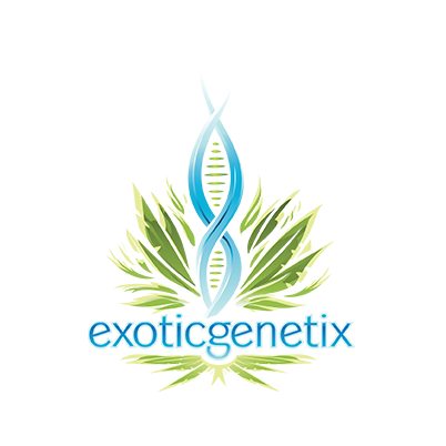 Exotic Genetix