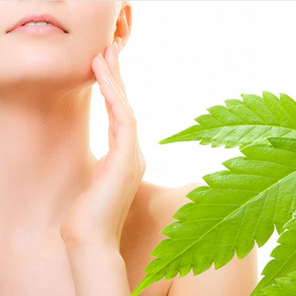Go Green Cbd Oils