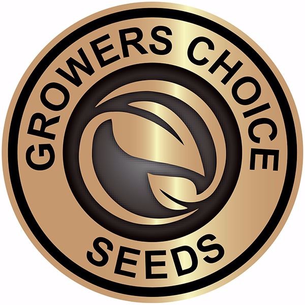 Growers Choice Cannabis Seeds