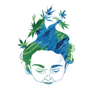 Heylo Cannabis Extracts