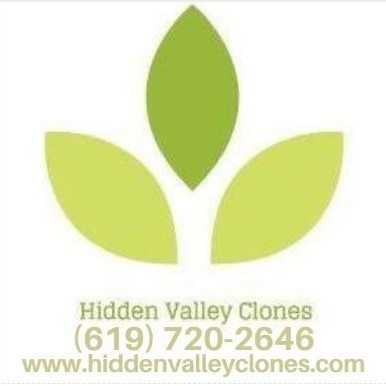 Hidden Valley Clones