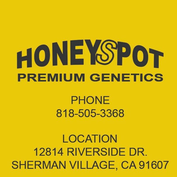 HoneySpot