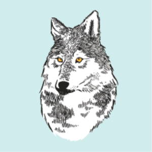 Howl's Tincture