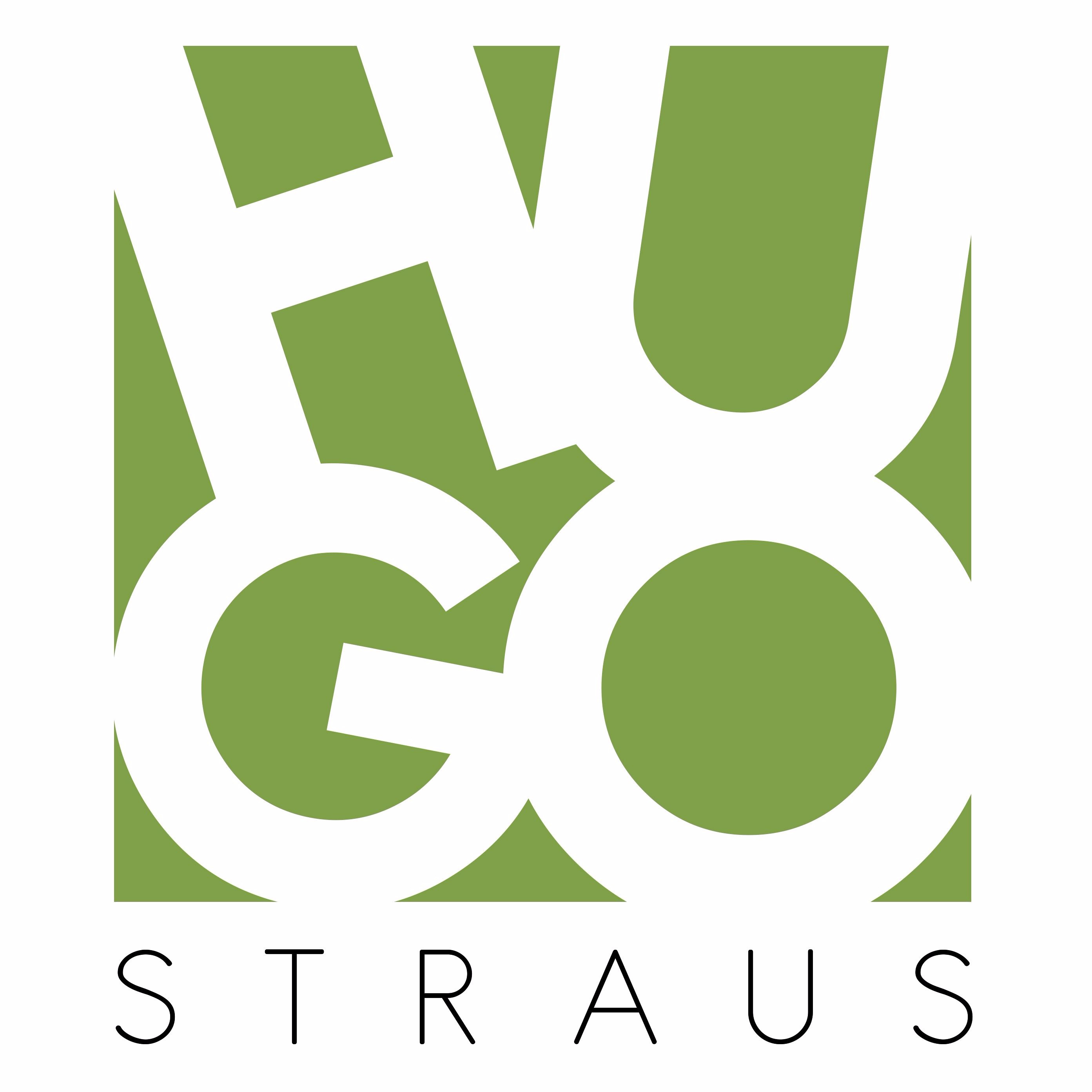 Hugo Straus