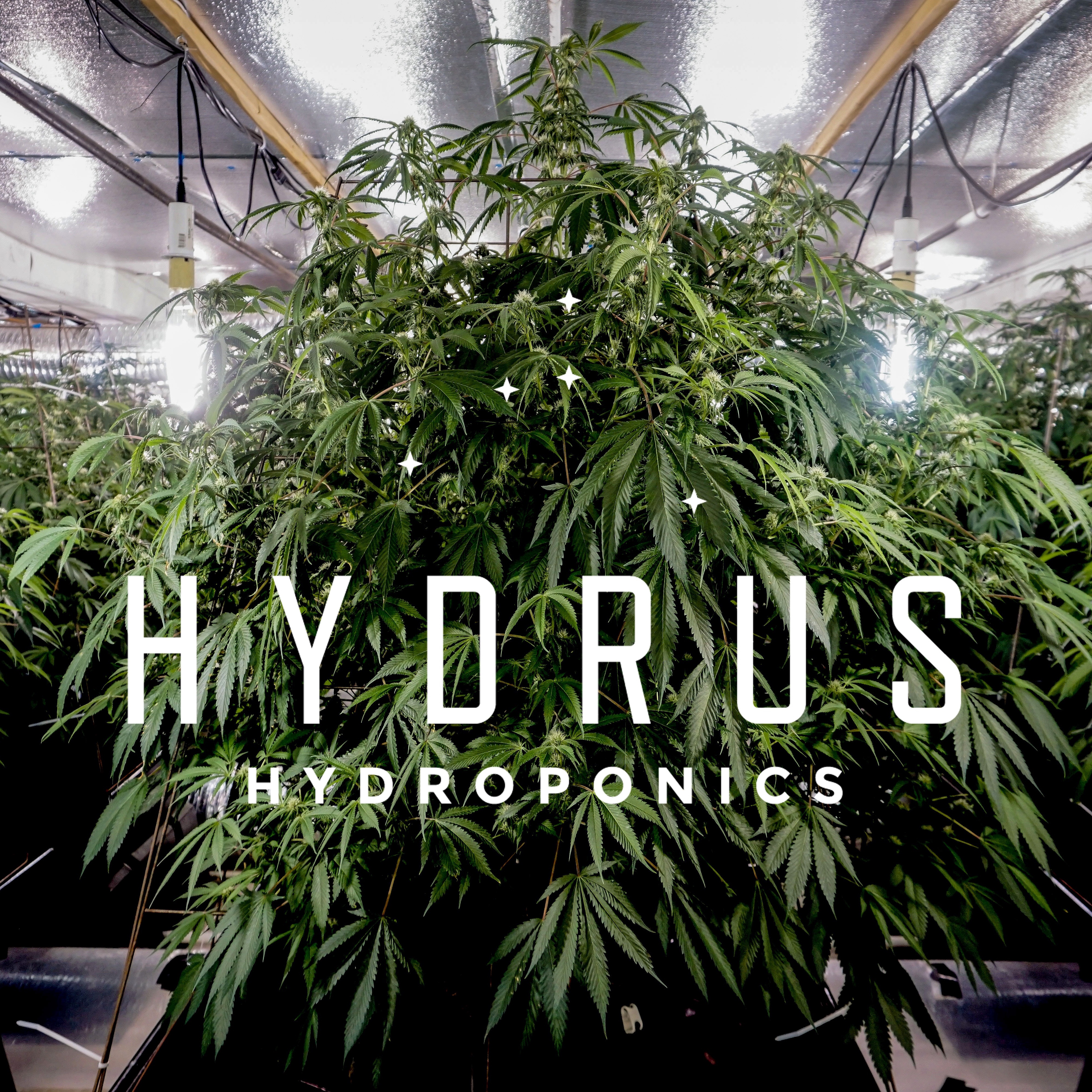 Hydrus Hydroponics