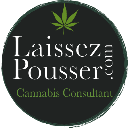 Laissez Pousser Cannabis consultant