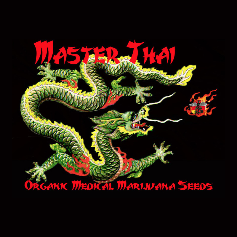 Master Thai