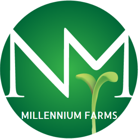 Millennium Farms