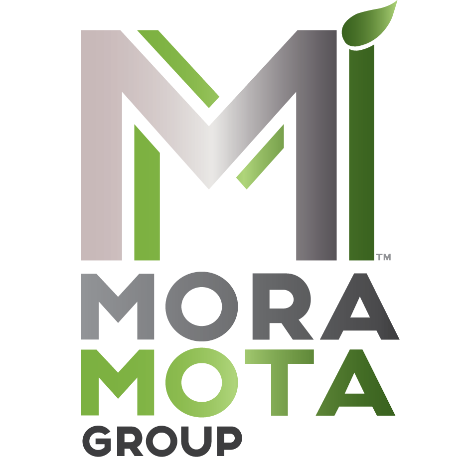 Mora Mota Group Inc.