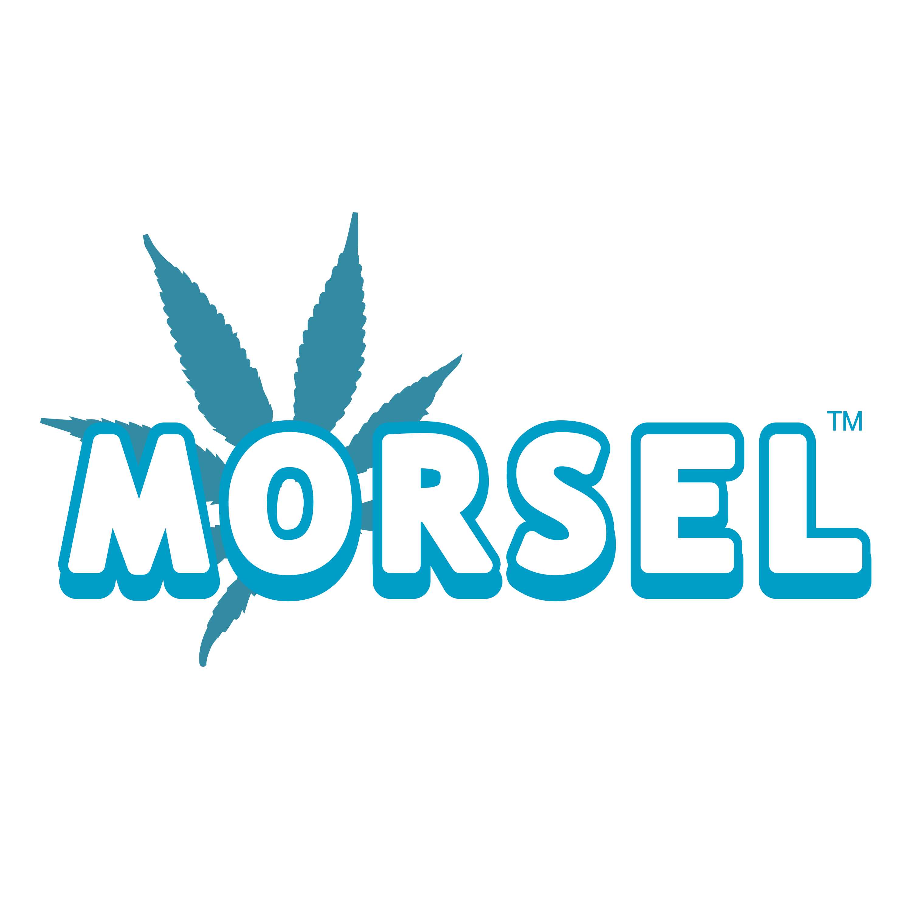 Morsel Bakery