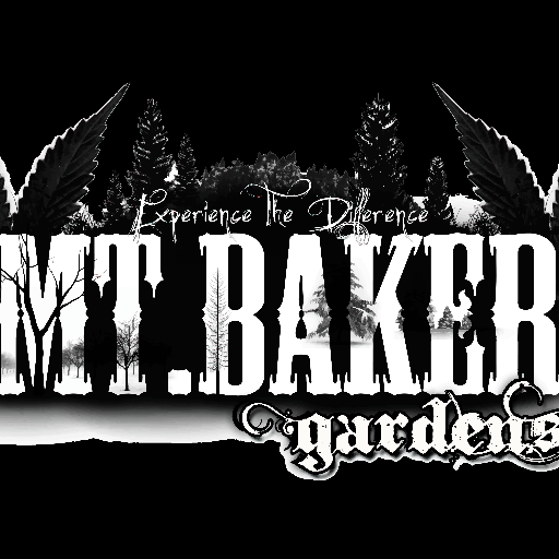 Mt. Baker Gardens