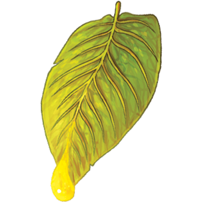 Nectar Leaf