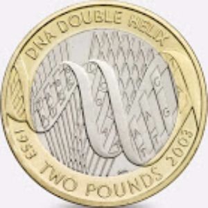 Nexus: Asset Allocation Services