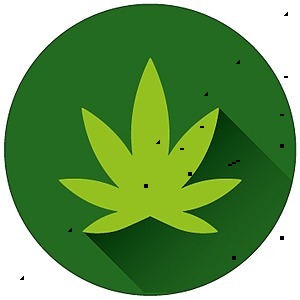 NuTeir Hemp