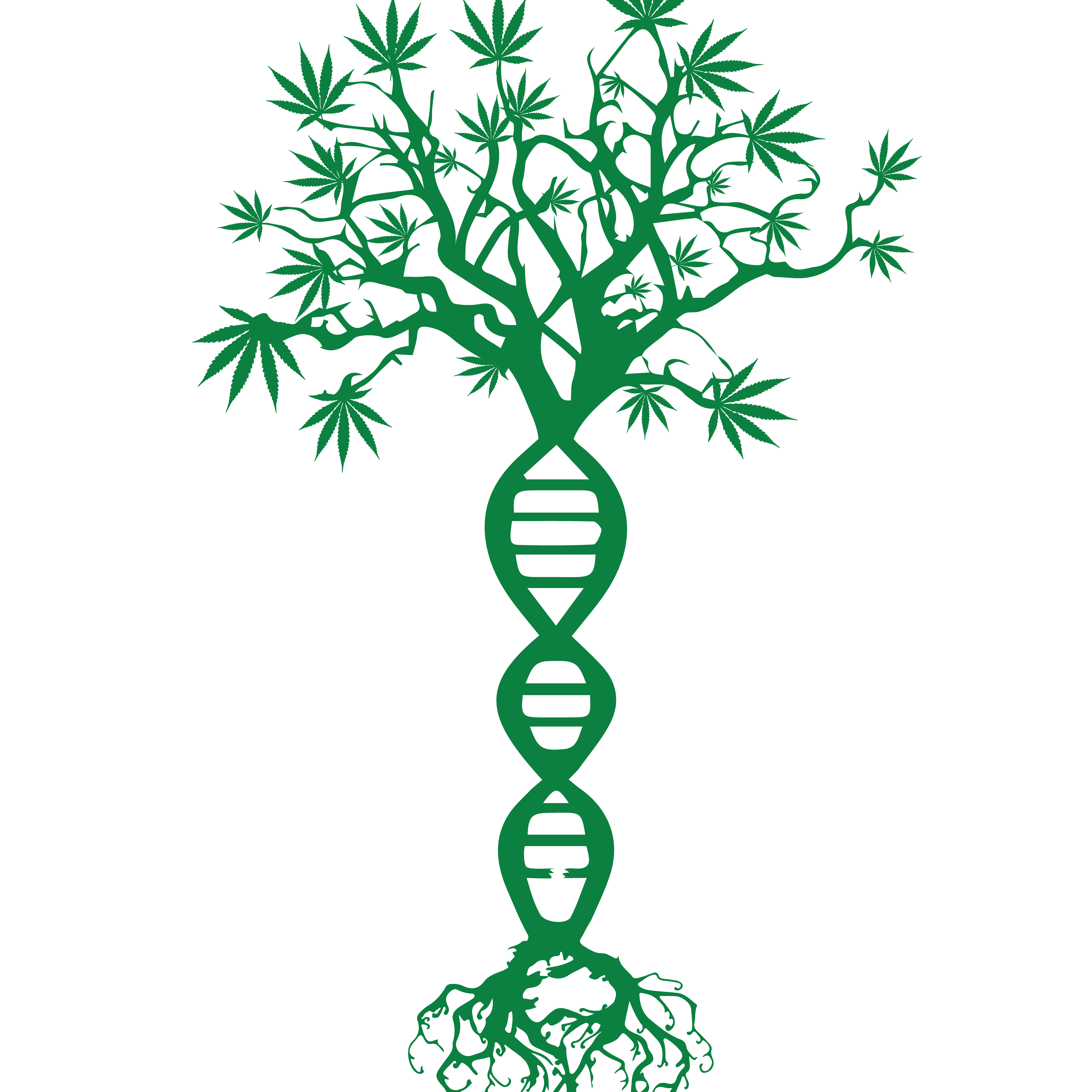 OG Cannabis