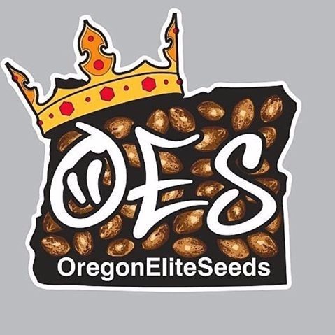Oregon Elite Seeds