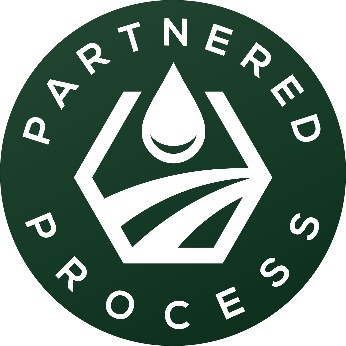 Partnered Process LLC