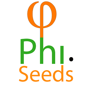 Phi Seeds