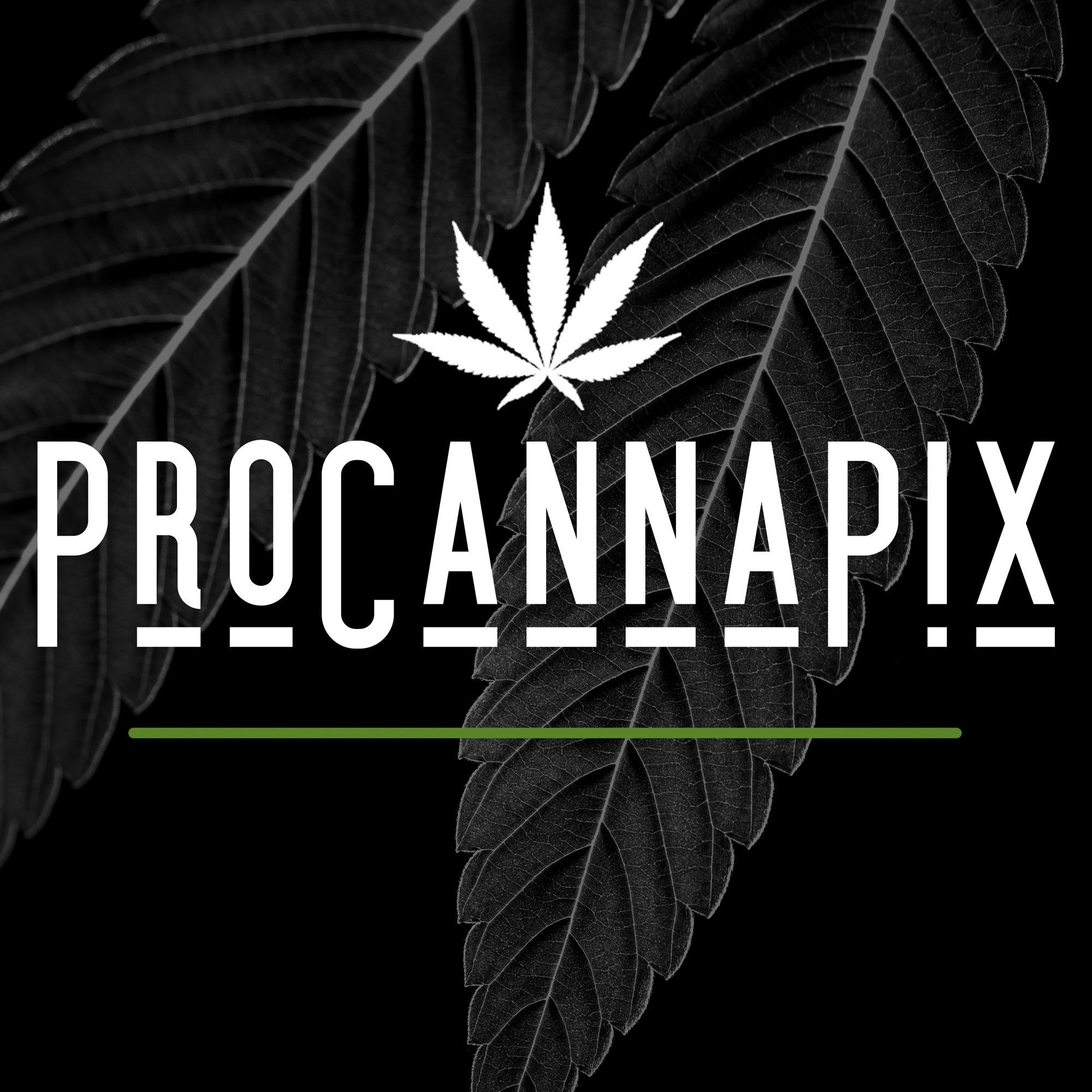 ProCannaPix - Creative Marketing Services