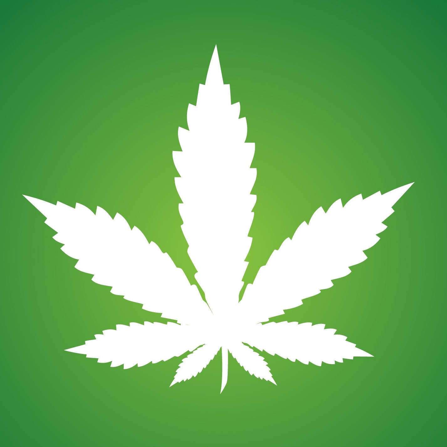 Rocky Green King