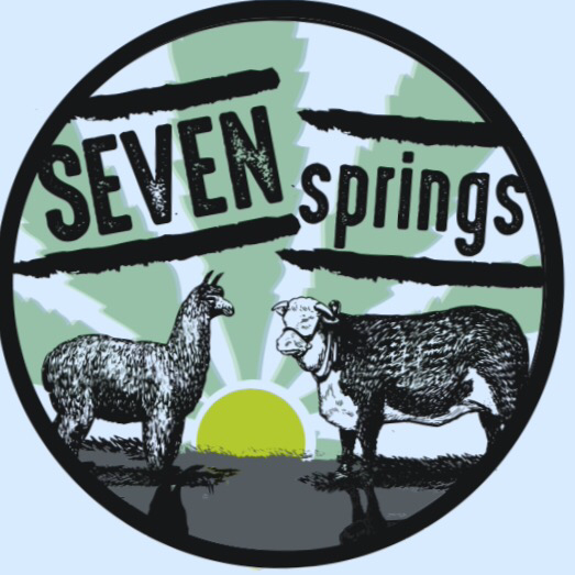Seven Springs Inc.