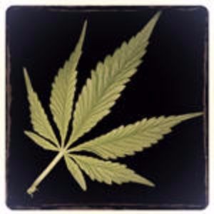 Sustainable Cannabis Certification Consulting