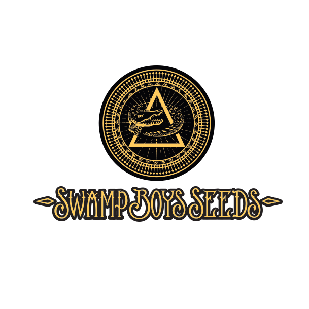 Swamp Boys Seeds