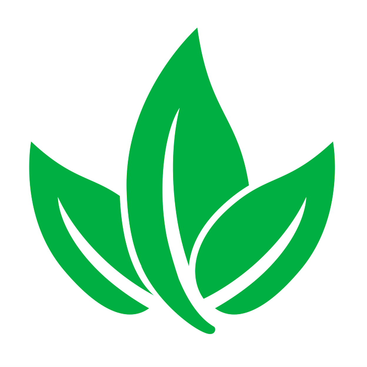 The CO2 Company