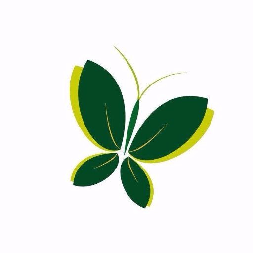 The One Minute Cannabist