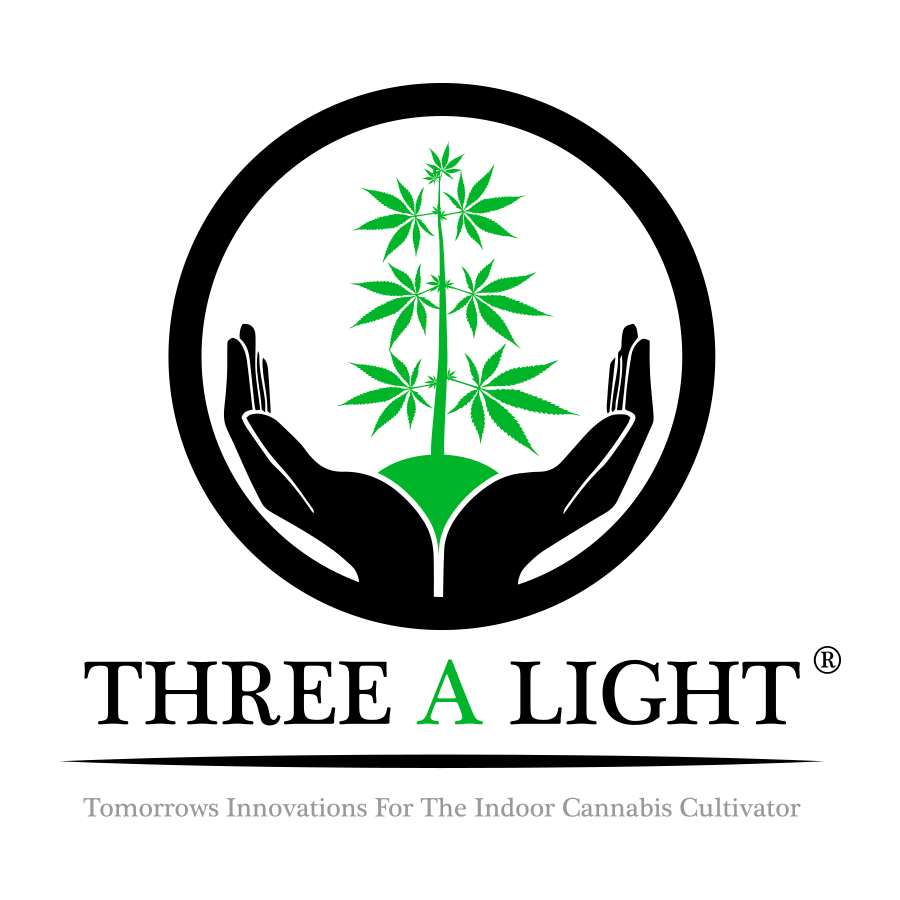 Three A Light