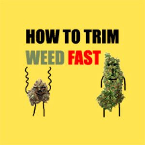 Trim Weed Fast