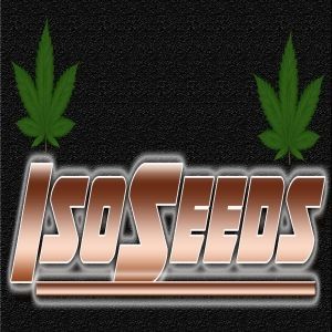usmarijuanaseed.com A division of ISOseeds LLC