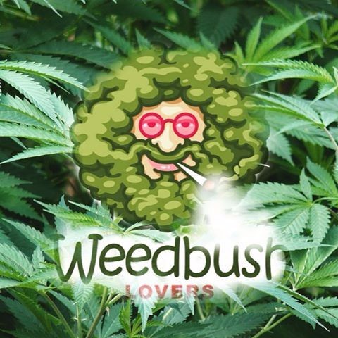Weedbush Lovers
