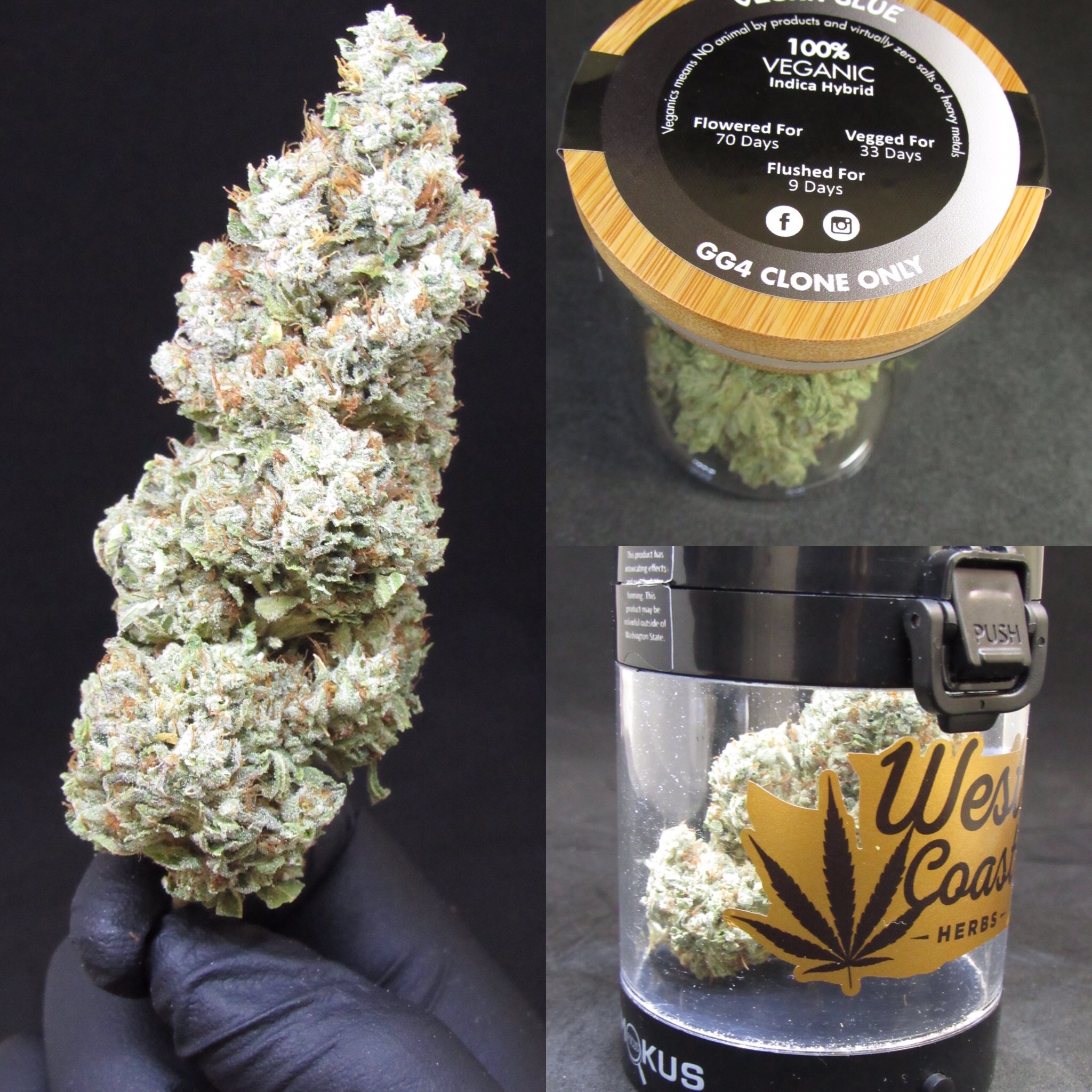 West Coast Herbs
