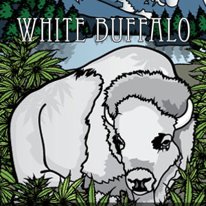 White Buffalo