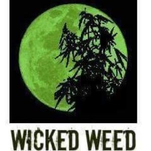 Wicked Weed