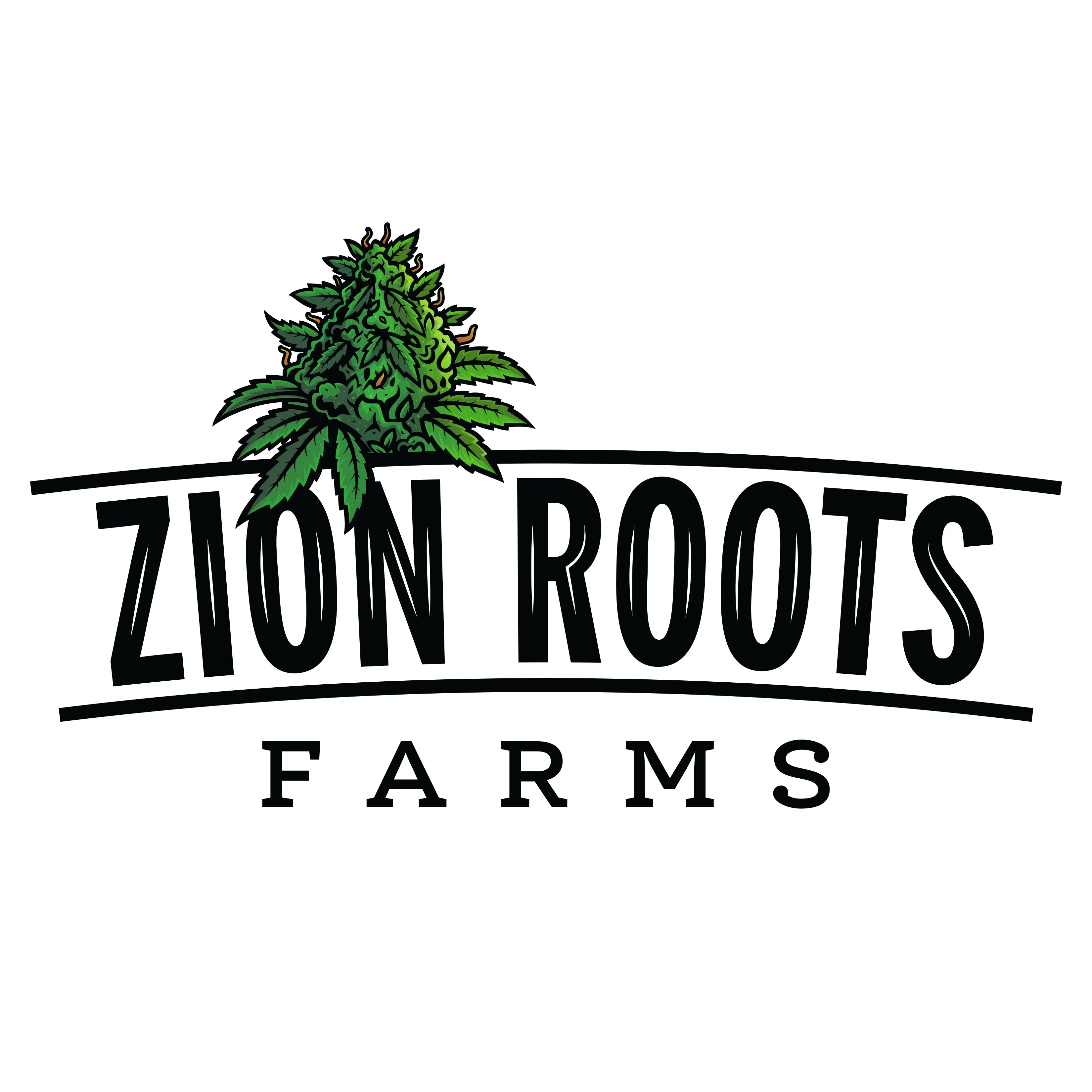 Zion Roots
