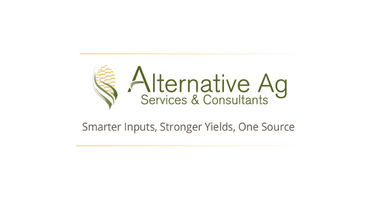 Alternative AG
