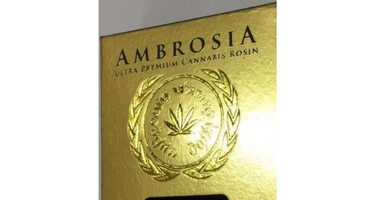 Ambrosia Rosin